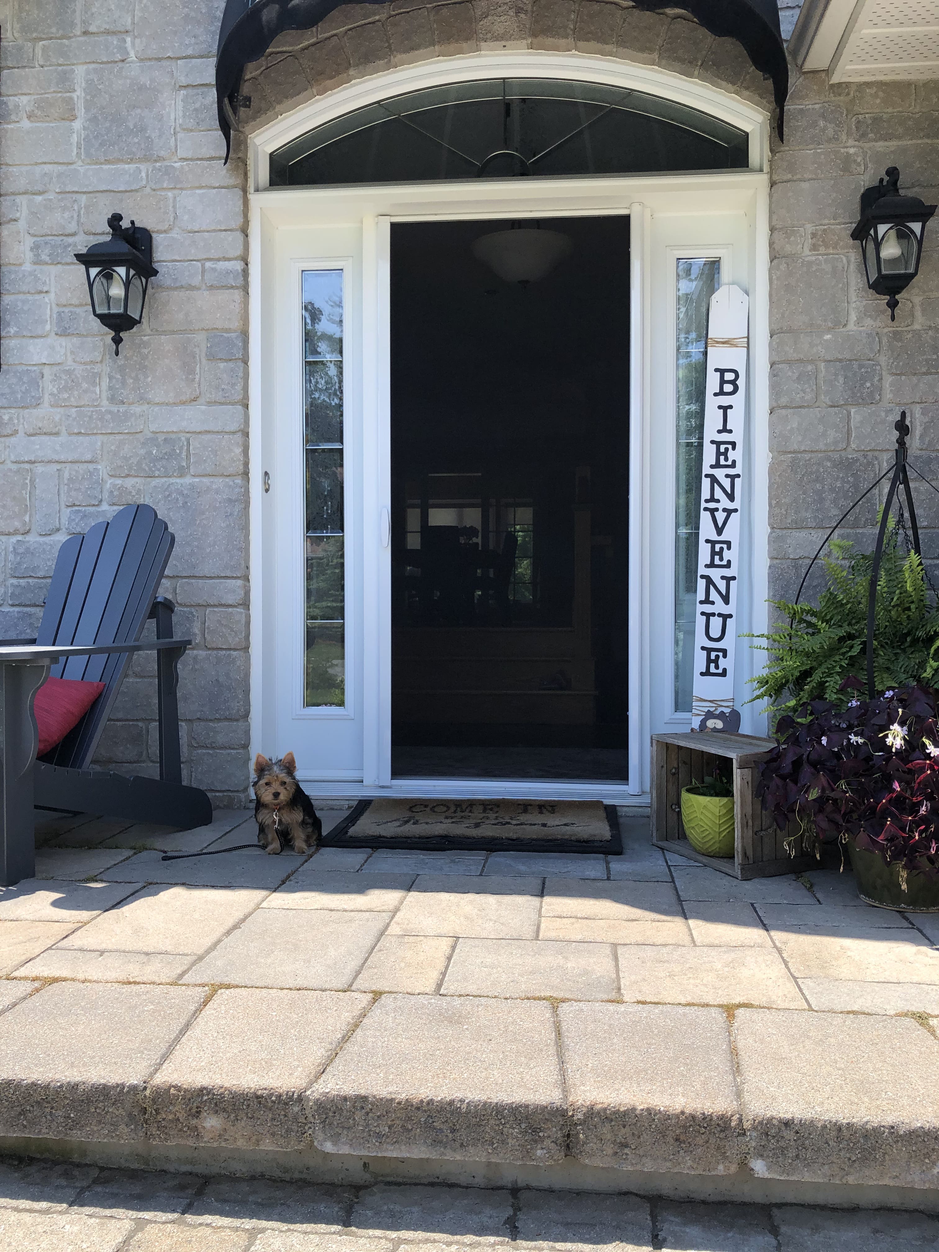 Retractable Screen Single White